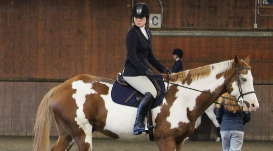 Trifiro Earns Reserve High Point Rider; Equestrian Places Eighth At Becker College Show