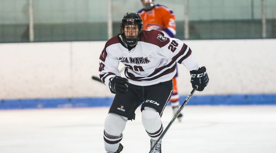 Men's Hockey Falls Short to Worcester State