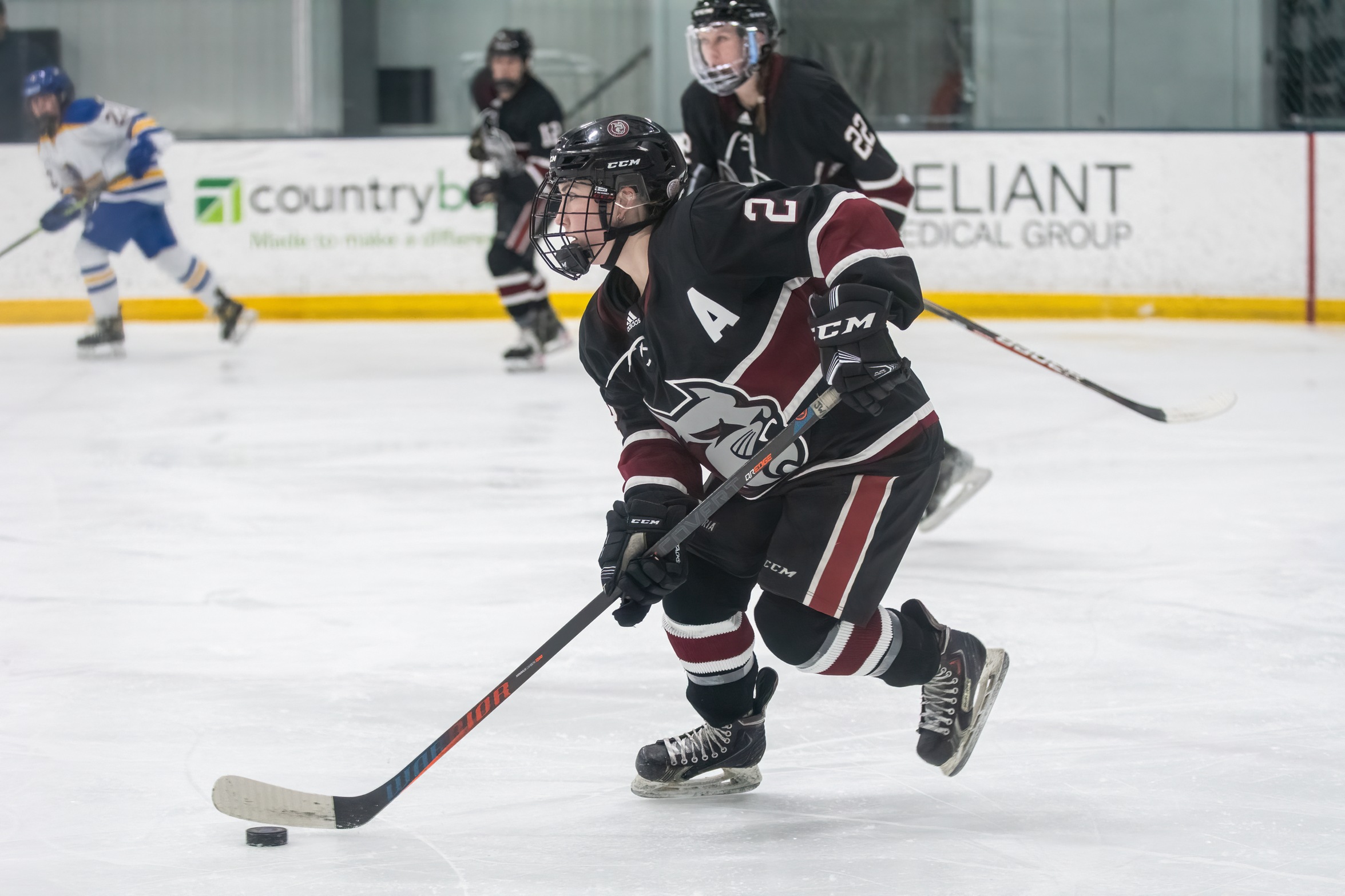 Wolves Pull Away From Women's Hockey In Third