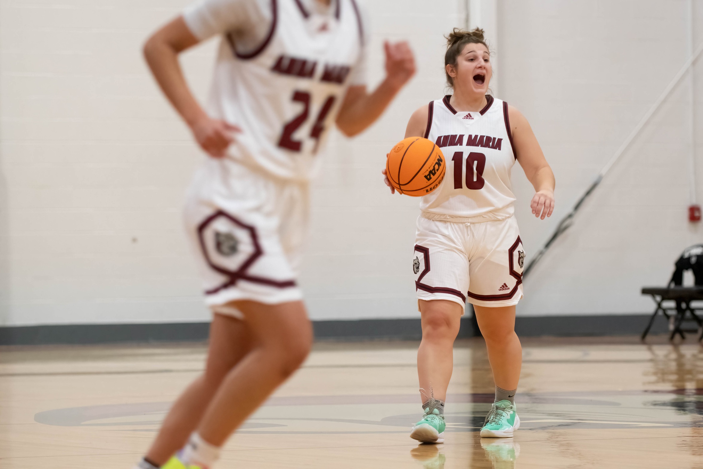 Women's Basketball Drops Home Opener To Nor'easters
