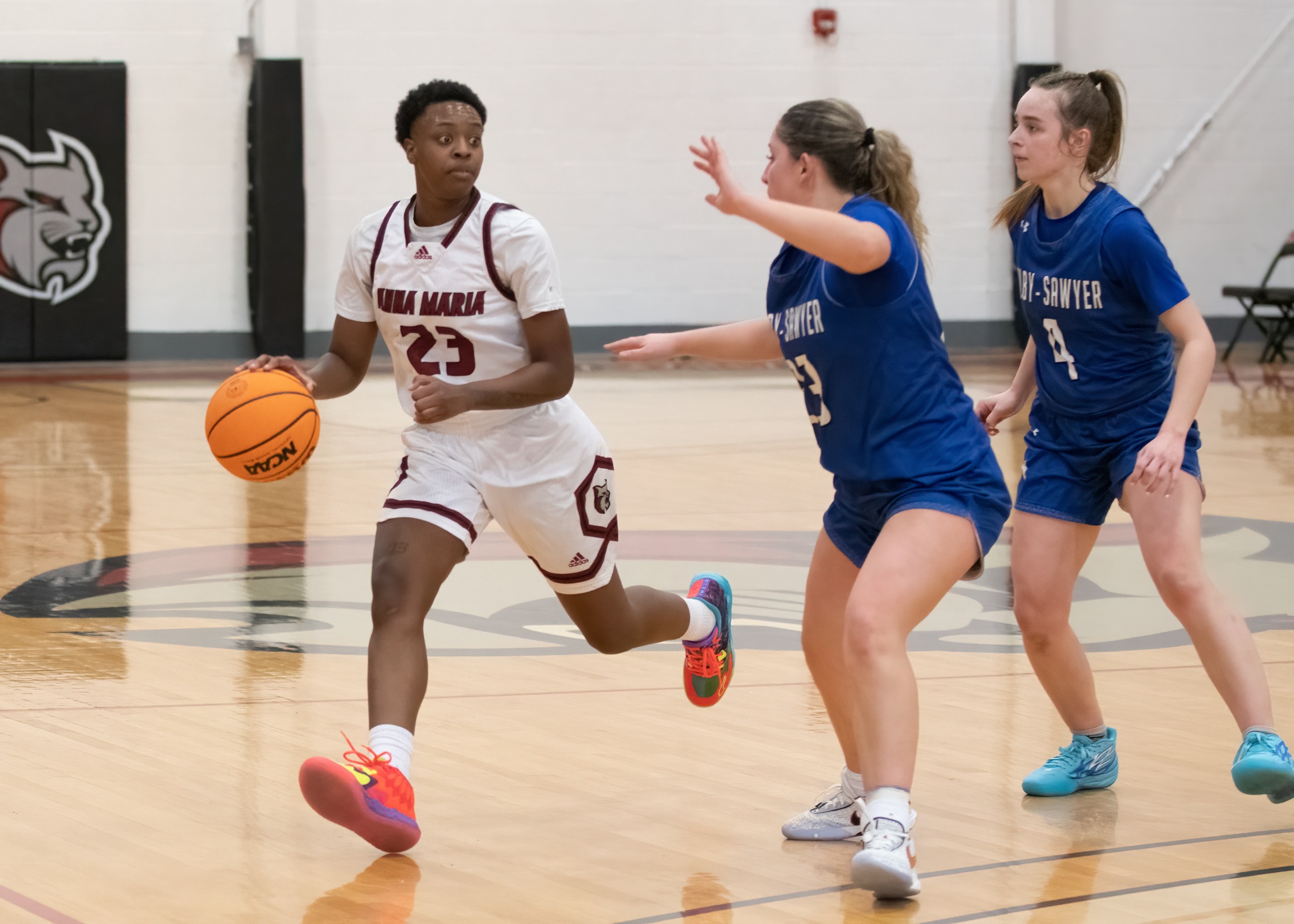 Women's Basketball Can't Hold On Against Lancers