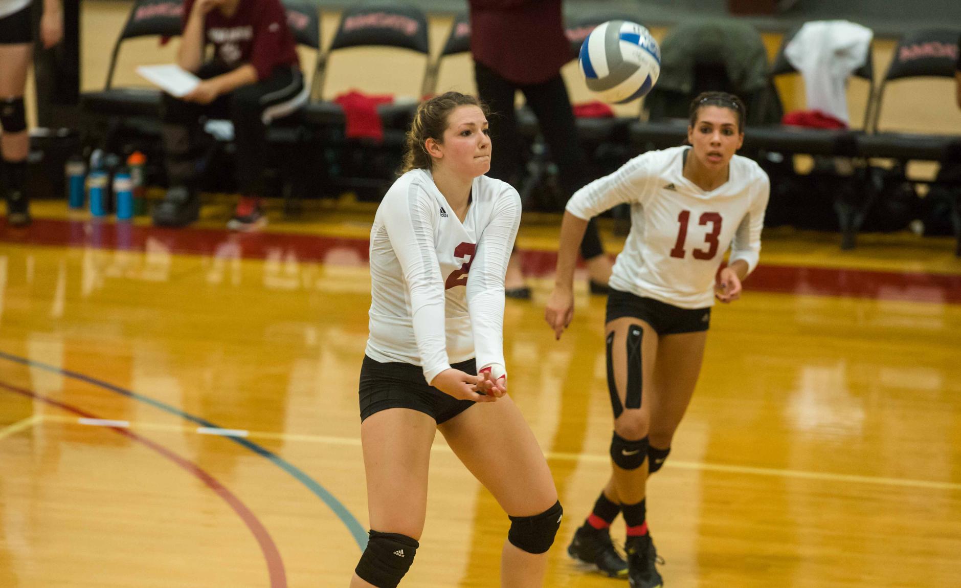 Volleyball Sets Program Record for Wins in a Season in 3-0 Victory over Worcester State