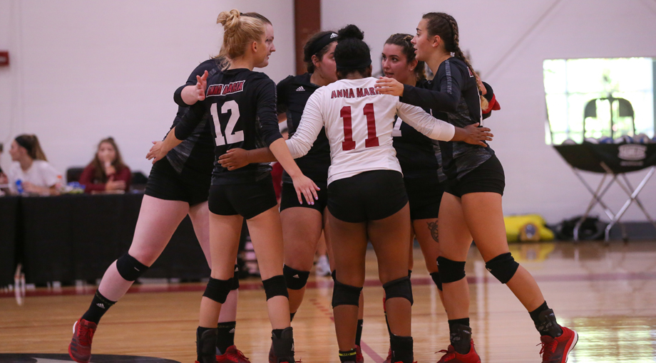 Volleyball Bested By Lasell