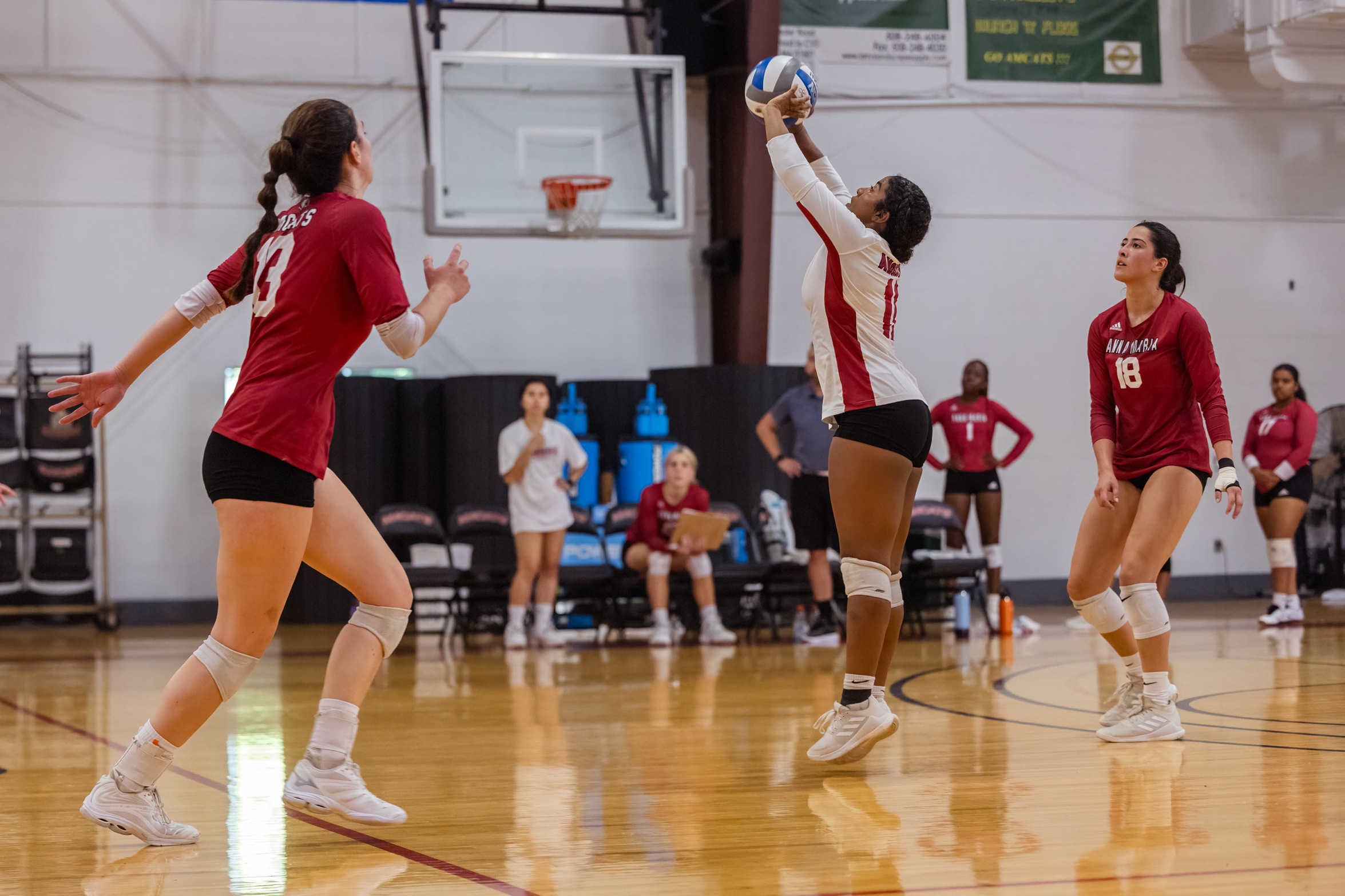 Women’s Volleyball Puts Up A Fight Against Bison
