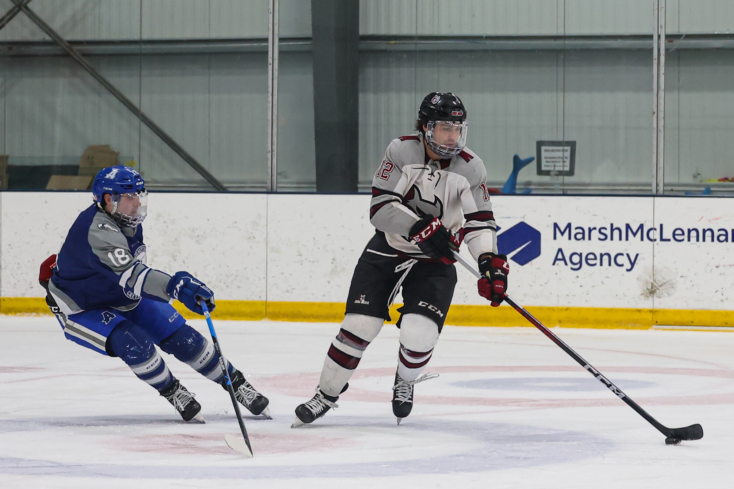 Men's Hockey Cant Hold On In 5-4 Loss To Greyhounds