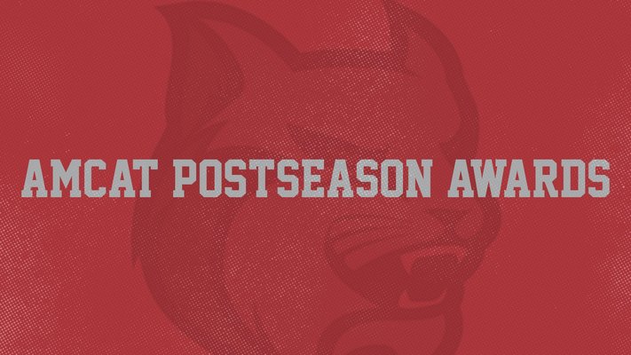 Take a Look Back at Those Who Received Postseason Honors