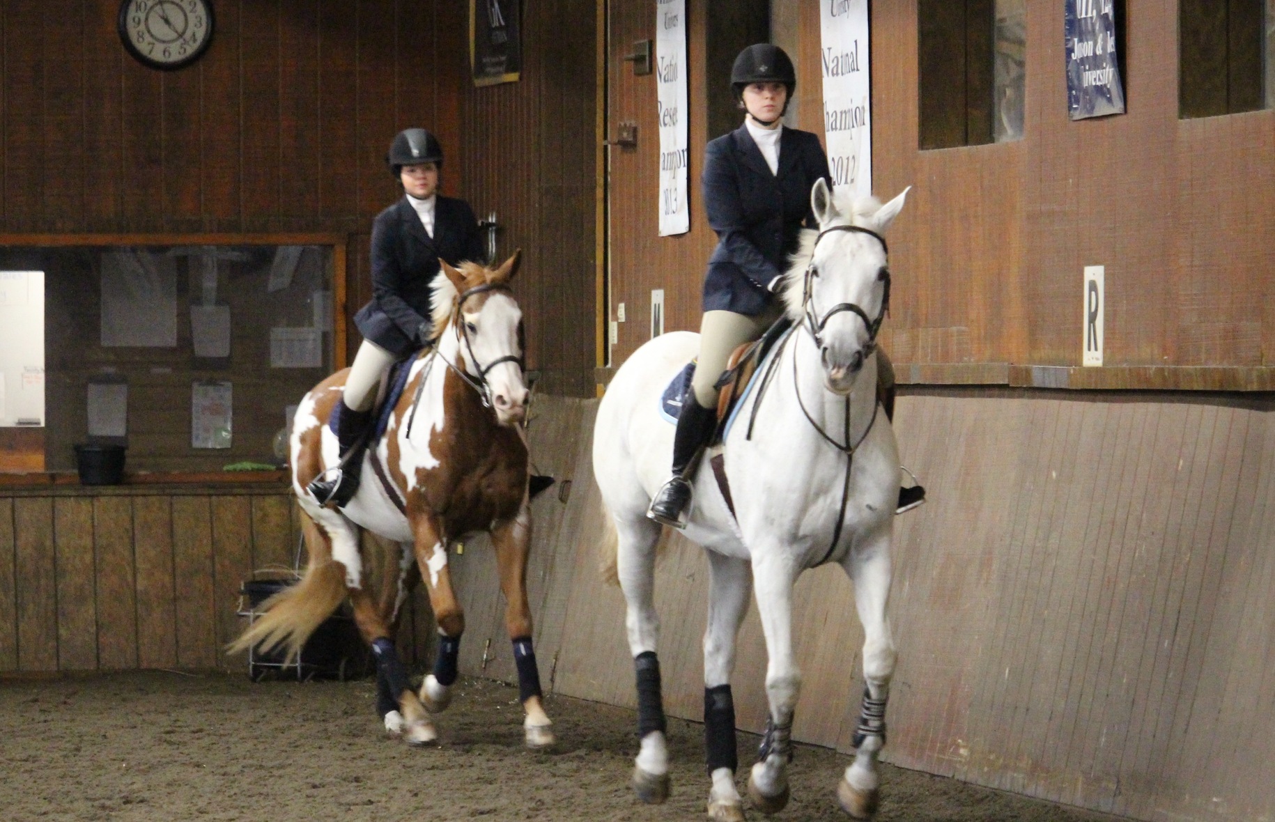 Equestrian Continues Strong Showing At UMass Dartmouth