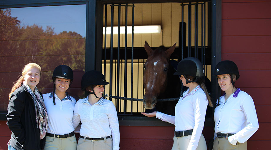 Equestrian Excels At Weekend Showings; Isabelle Smith Qualifies For Regionals