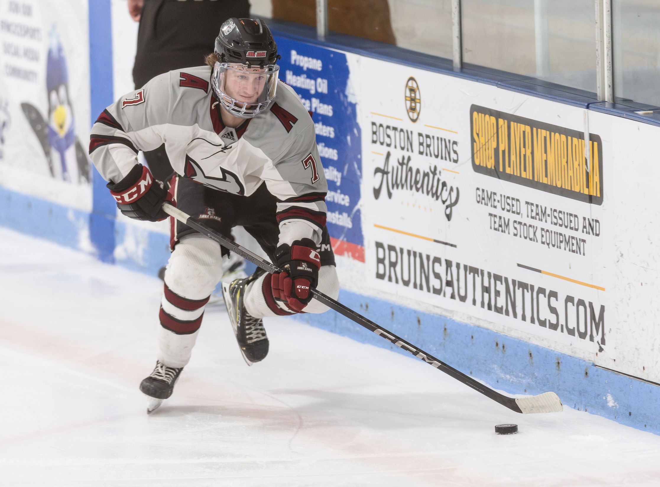 Strong Second Period Leads Vikings Past Men's Hockey