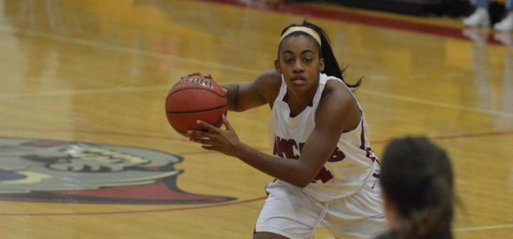 Lady AMCATS Nipped by Blue Jays in GNAC action