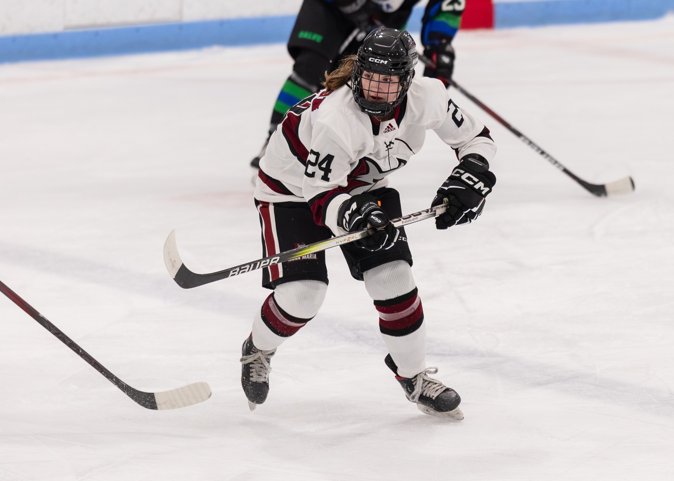 WOMEN'S HOCKEY COMPLETES THE SWEEP OVER THE HAWKS