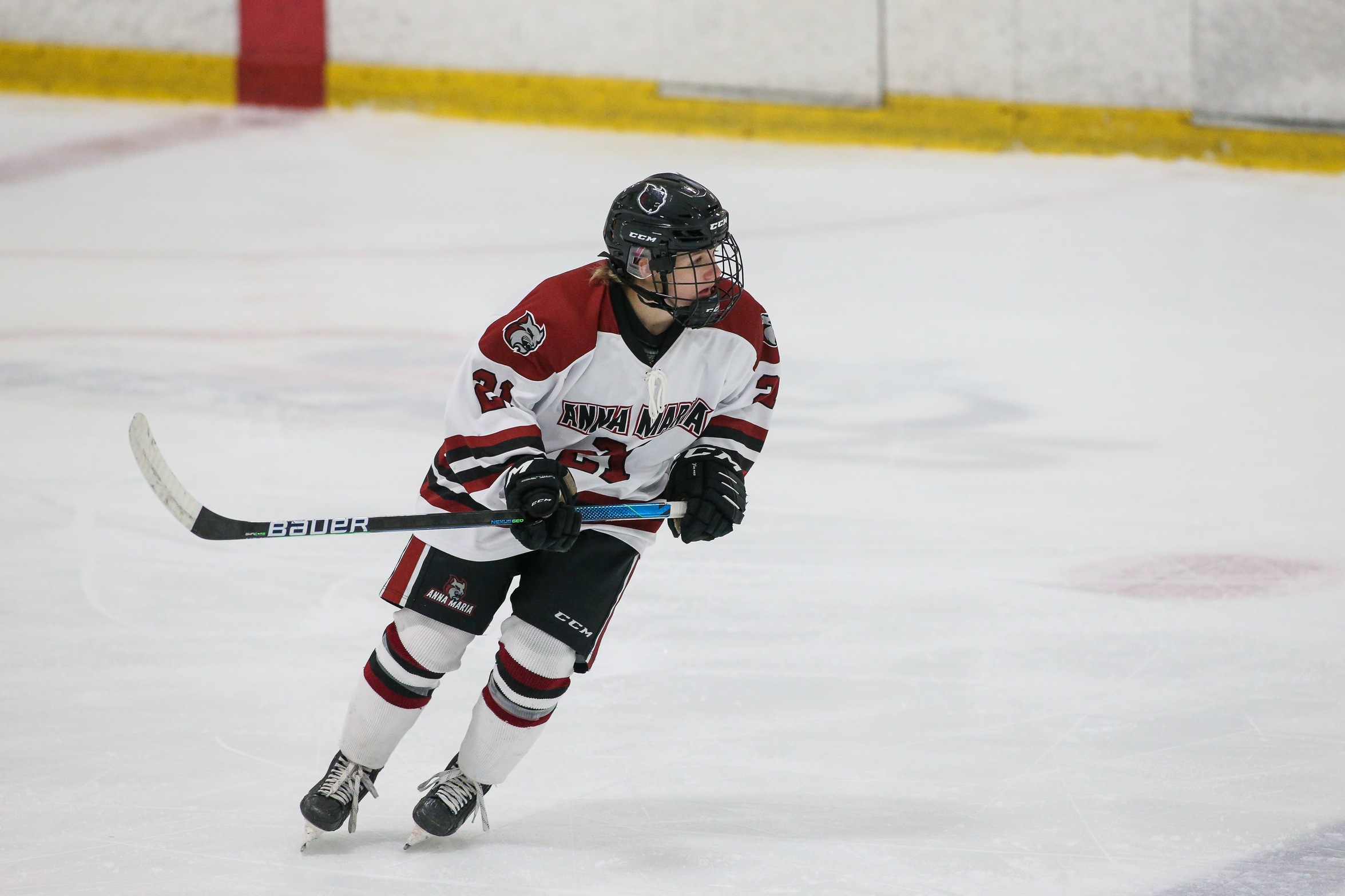 Women’s Hockey Fall On The Road To Salem State