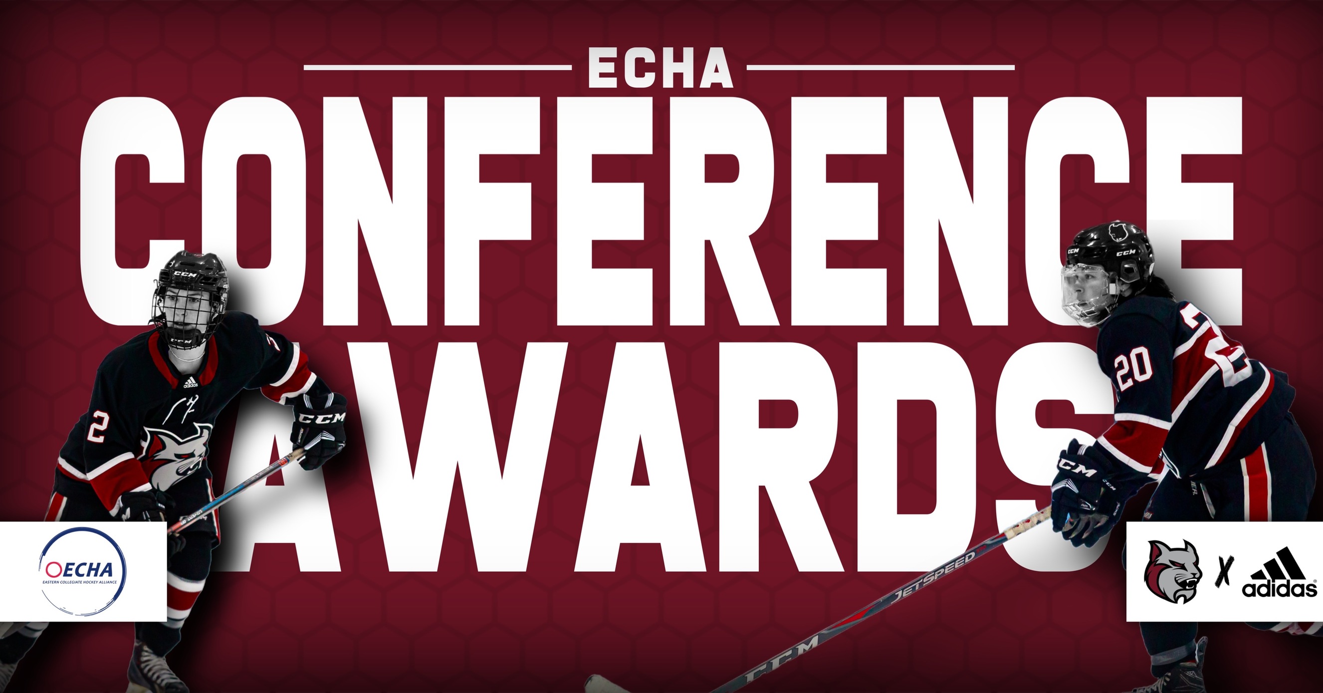 THE EASTERN COLLEGIATE HOCKEY ALLIANCE RECOGNIZES MAJOR AWARD WINNERS AND HONORS ALL-ECHA SELECTIONS