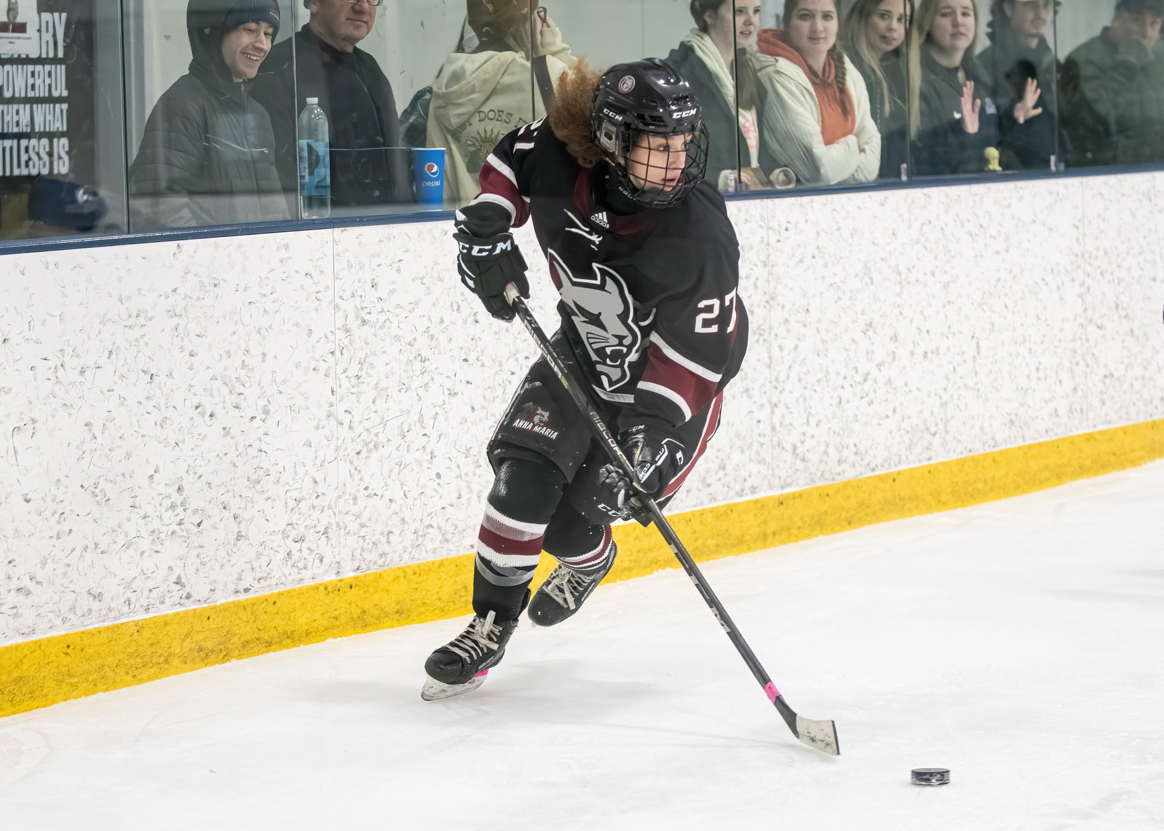 Women’s Hockey Draws With Falcons, Ends In Shootout Win