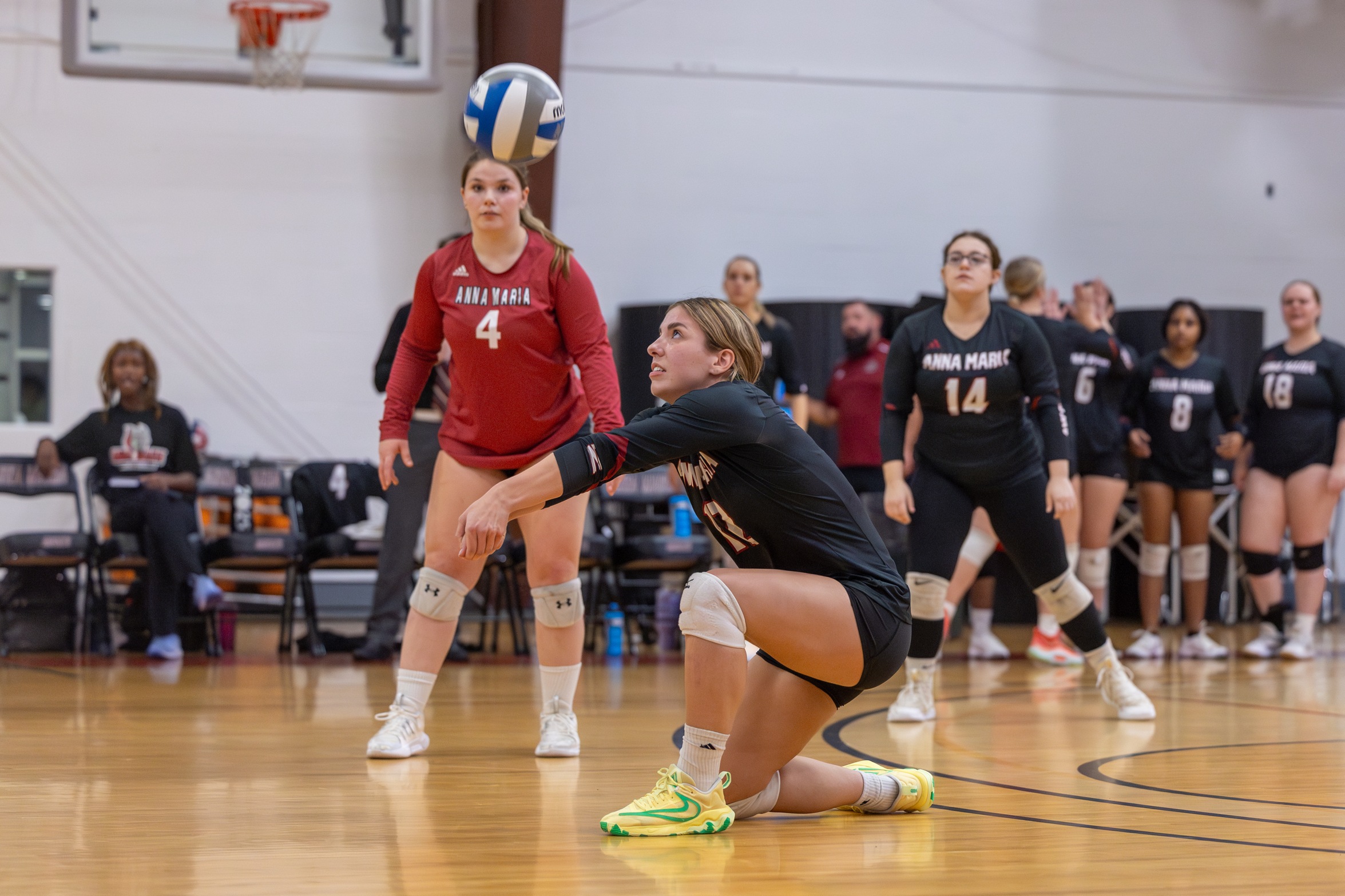 Sharks Swim Past Women's Volleyball 3-0