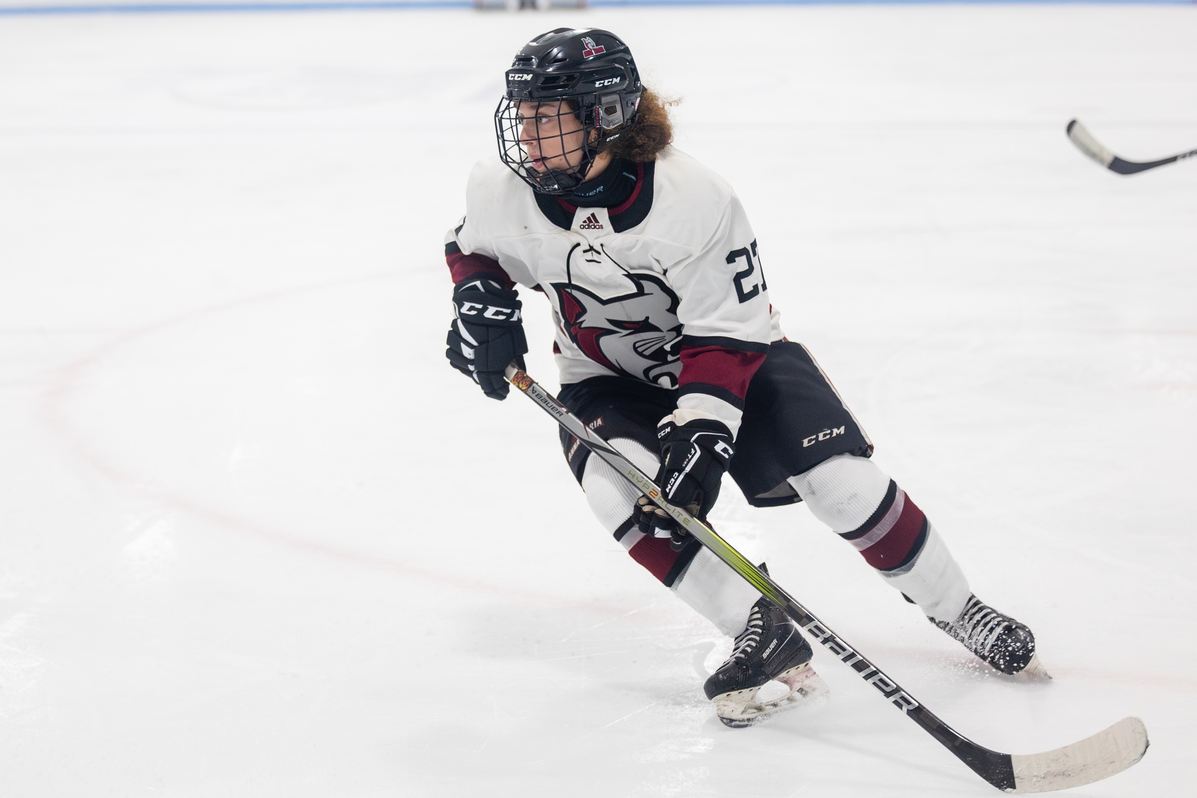 WOMEN'S HOCKEY RETURNS FROM BREAK WITH LOSS TO PILGRIMS