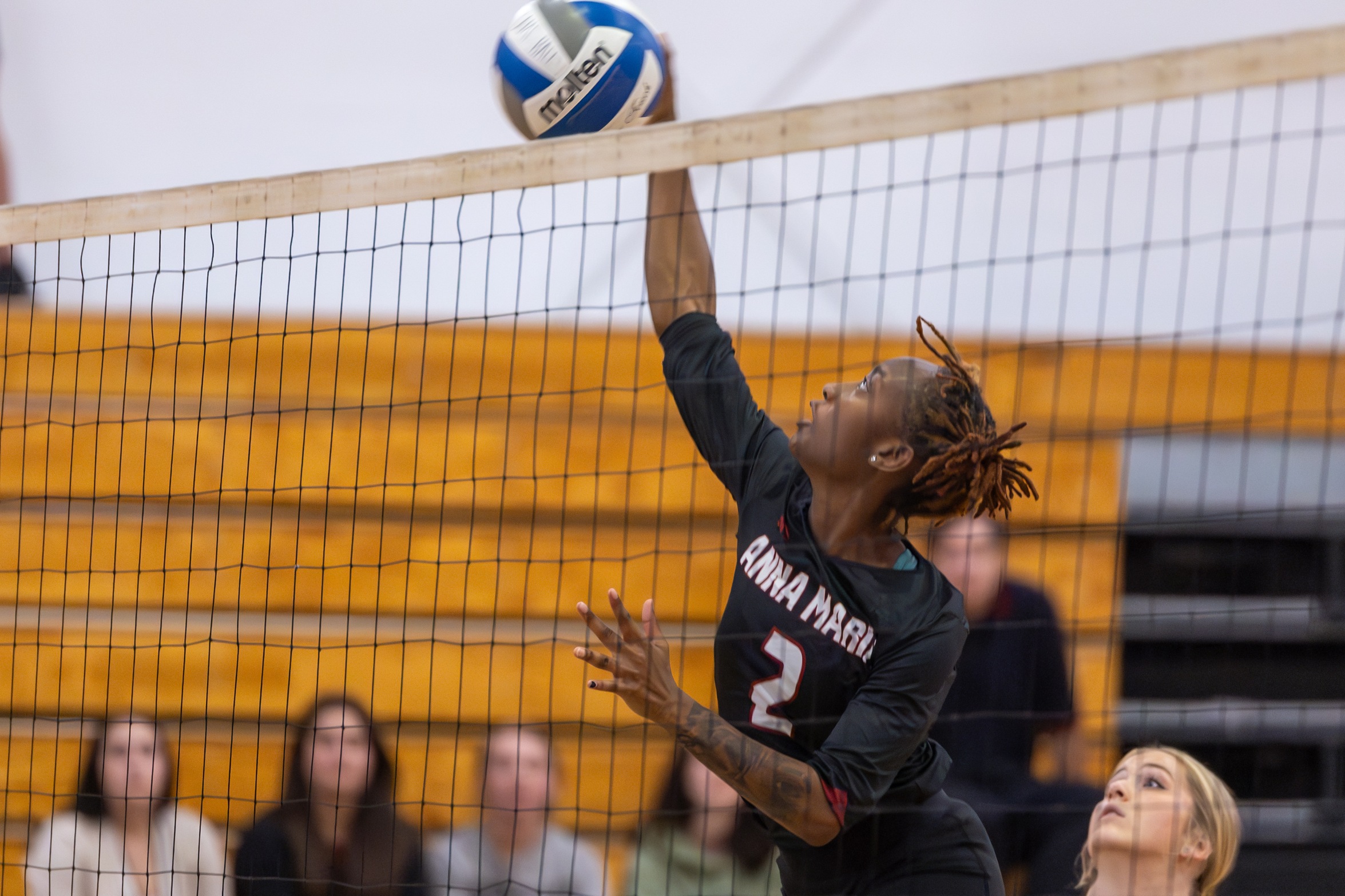 VOLLEYBALL DROPS TWO AT NEW ENGLAND COLLEGE TRI-MATCH