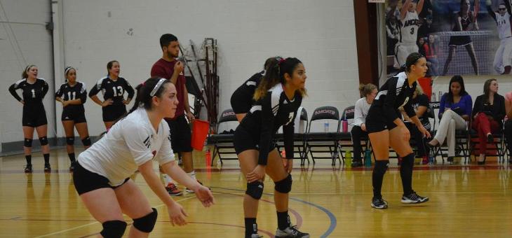 Volleyball: Lady AMCATS Nipped By Lynx
