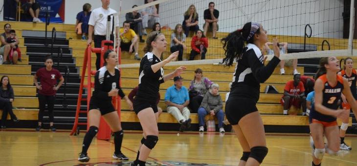 Volleyball Puts Up a Fight against Undefeated Blue Jays