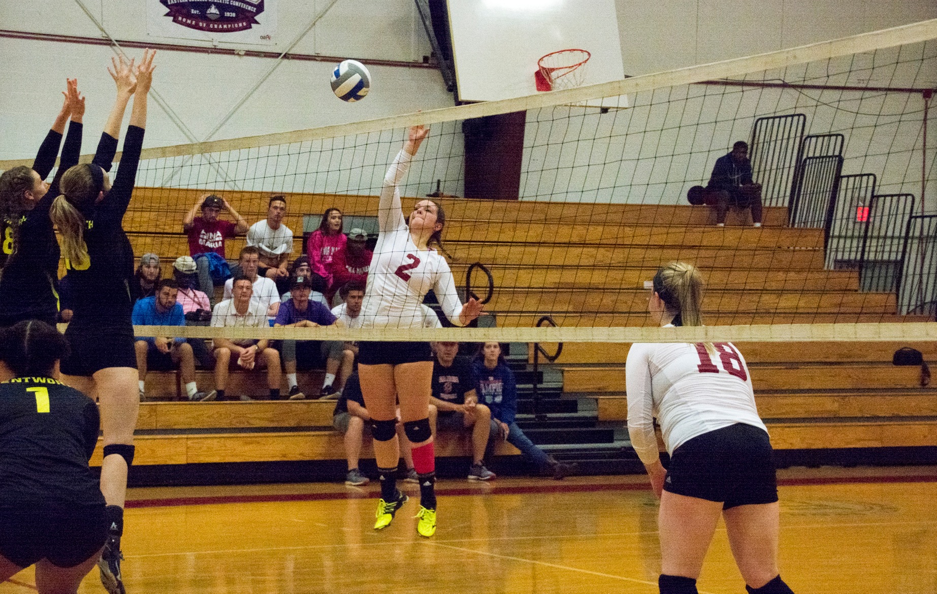 WOMEN’S VOLLEYBALL: Clark too strong for Anna Maria